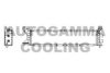 AUTOGAMMA 105756 Radiator, engine cooling